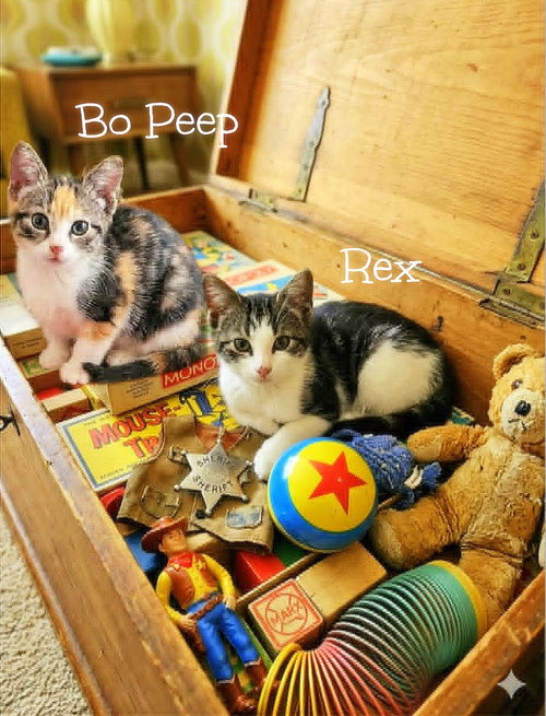 Bo Peep *kitten*