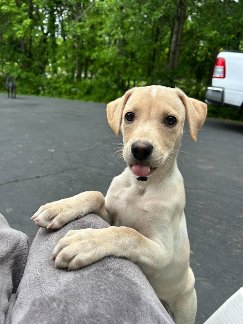 FIONA