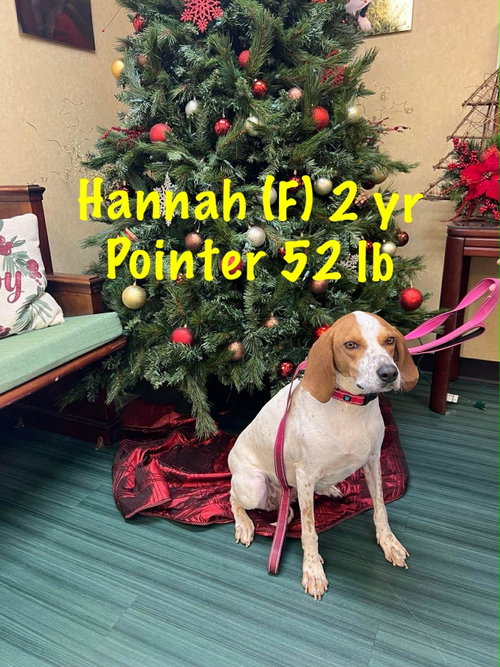 Hannah