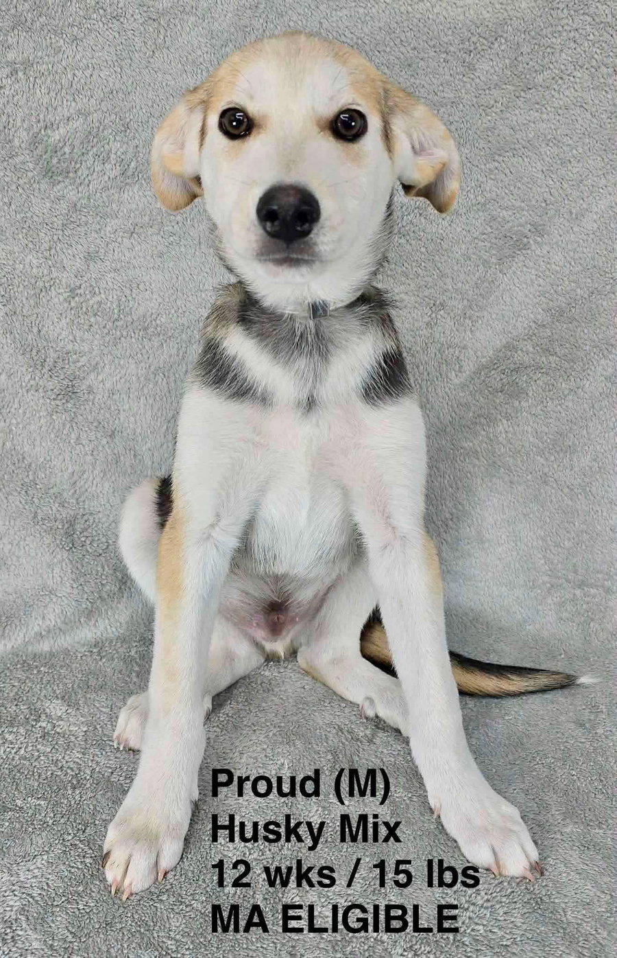 PROUD