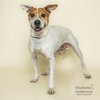 ZIGGY - Photo 1