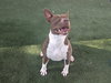 DAISY - Photo 1