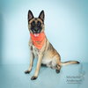 MISTY - Photo 1