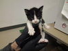 A164294 - Photo 1