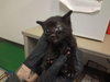 A164296 - Photo 1