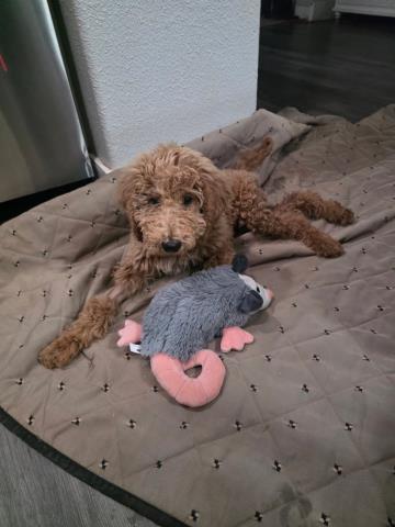 Max