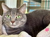 Ellie Mae - Photo 3