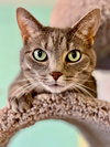 Ellie Mae - Photo 1