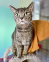 Ellie Mae - Photo 4