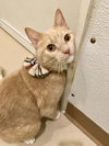 Donna - Photo 3