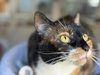 Hope - Photo 2