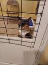 Hope - Photo 9