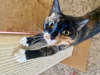 Hope - Photo 6