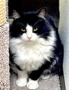 Miara - Photo 4