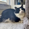 Miara - Photo 9