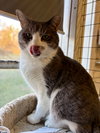 Micah - Photo 5