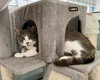Micah - Photo 6