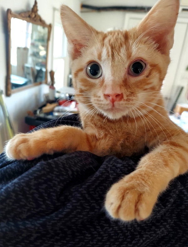 Miles