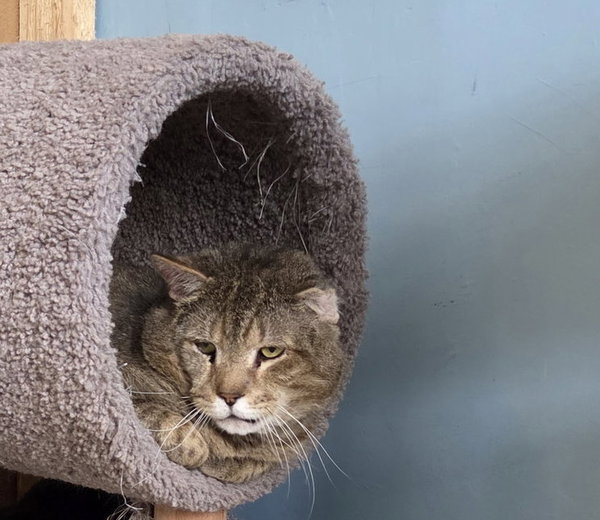 Grumpy