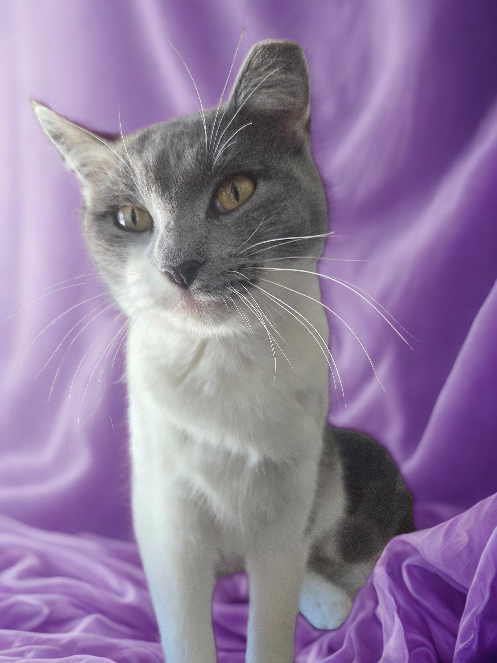 Bonnie