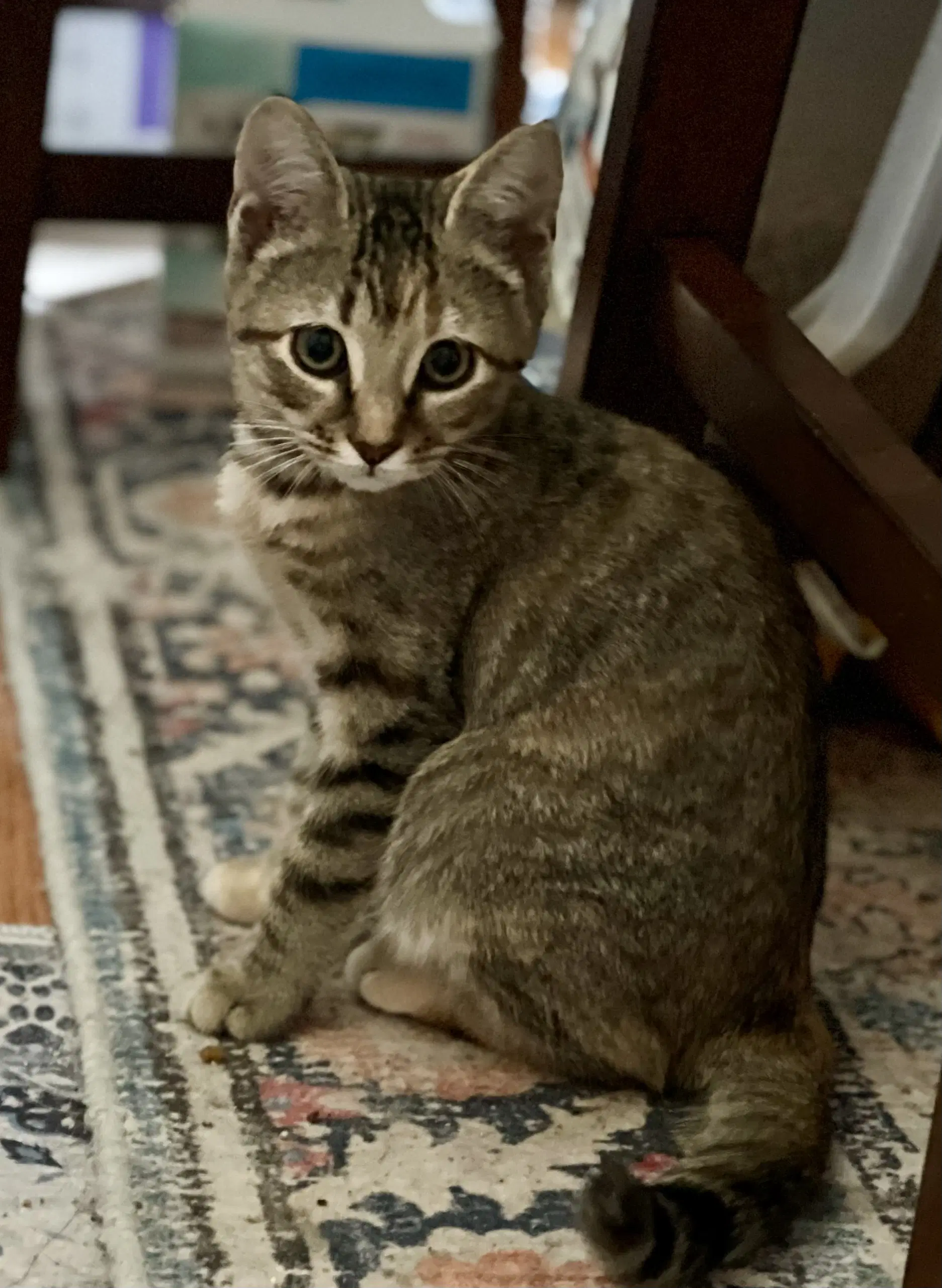 Zoe image 2