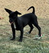 Junebug - Photo 4