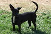 Junebug - Photo 3