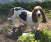 Wilbur - Photo 3