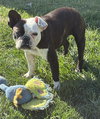 Lulu - Photo 2