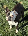 Lulu - Photo 3