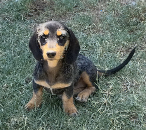 Annie photo 3