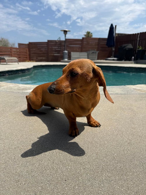 Maddie