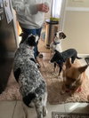 Jack - Photo 6