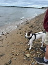Jack - Photo 5