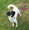 Teddy & Lisa BONDED PAIR - Photo 17