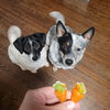 Lisa & Teddy Bonded Pair - Photo 3
