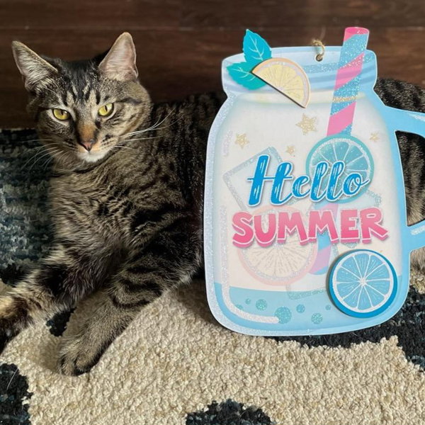 Kaos Litter: PROMETHEUS