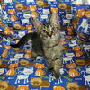 Kaos Litter: PROMETHEUS - Photo 22