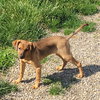 Keeva - Photo 6