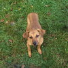 Keeva - Photo 3