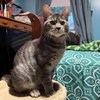 Louie - Photo 2