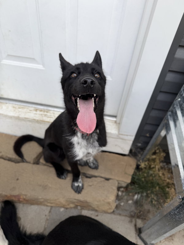 Khaos
