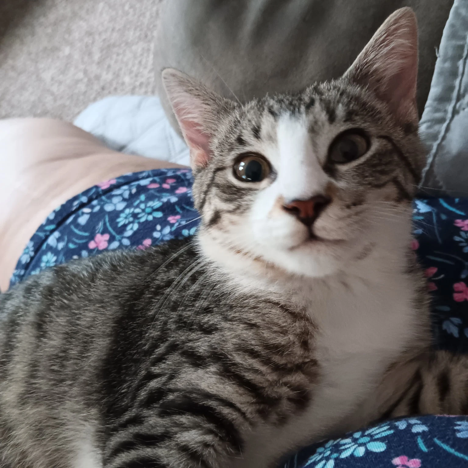 Snuggles