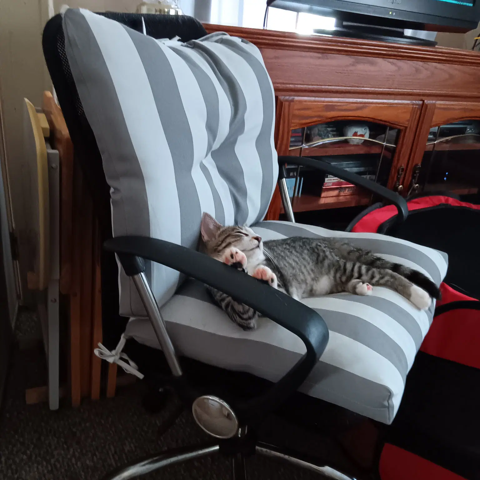 Snuggles image 2