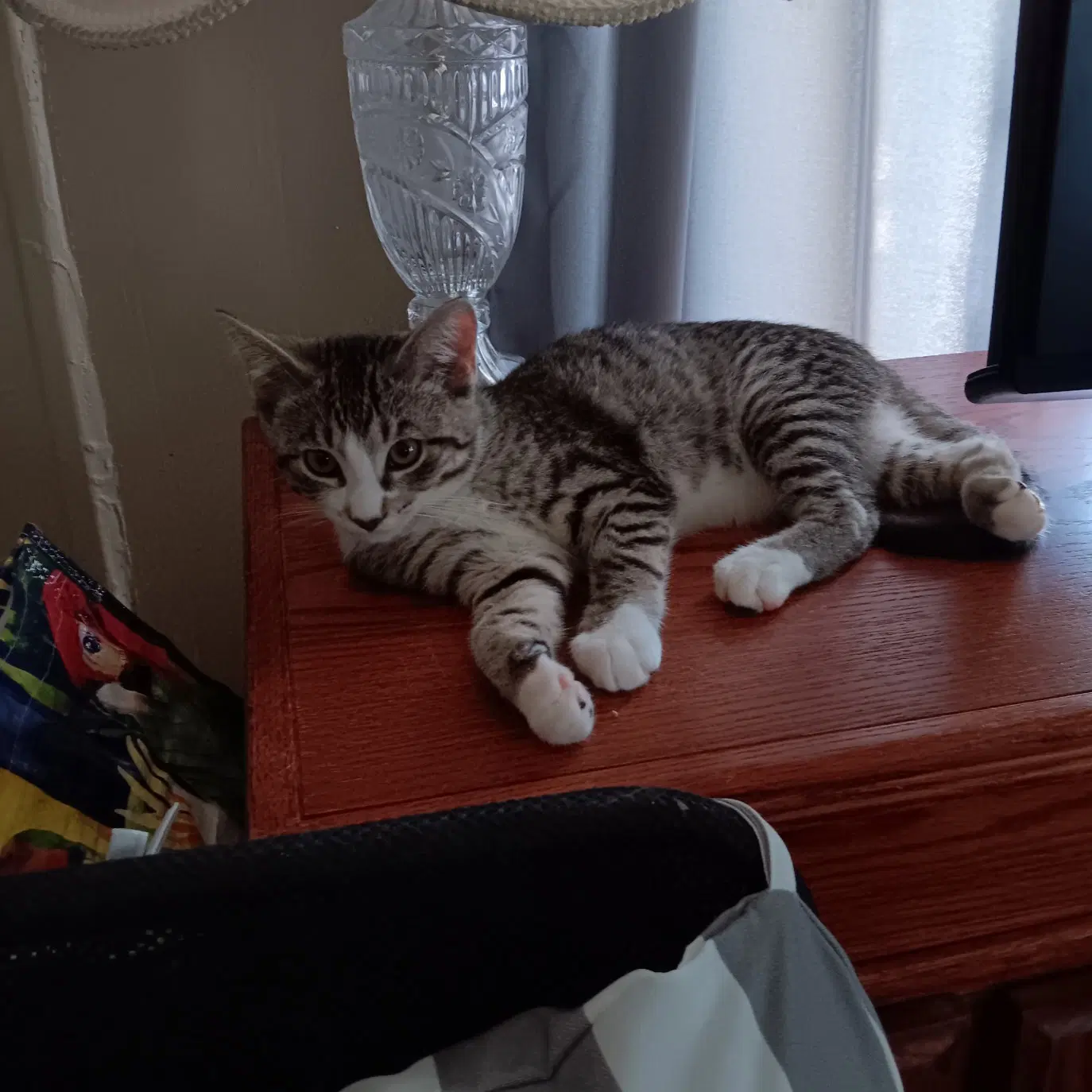 Snuggles image 3