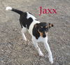 Jaxx