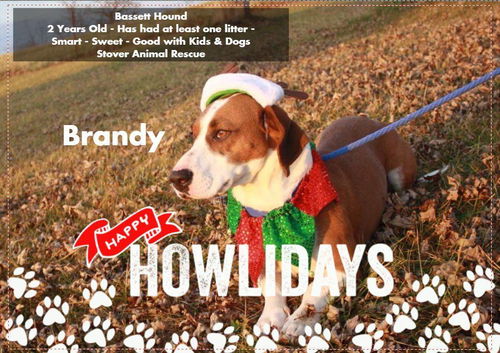 Brandy