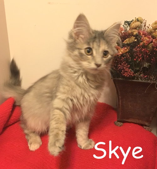 Skye