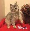 Skye