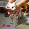 Max